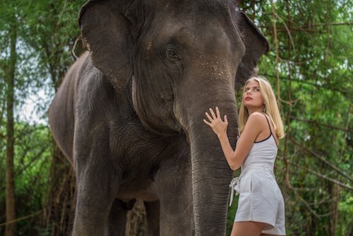 Фотограф на Бали Фотосессия со слоном